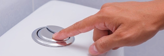 Person Flushing Toilet